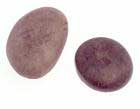 nardoo stones